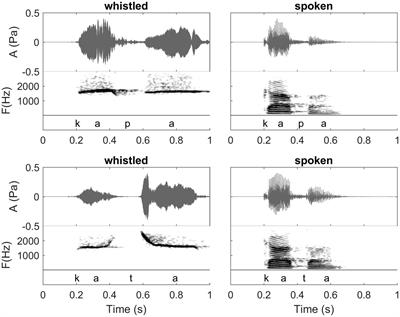 The Relevance of Human Whistled Languages for the Analysis and Decoding of Dolphin Communication